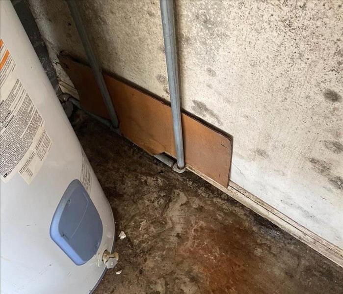 Mold damage by the water heater in basement