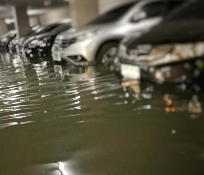 cars with black water flooding